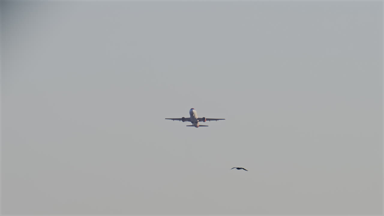Distant view of an airplane plying in the sky