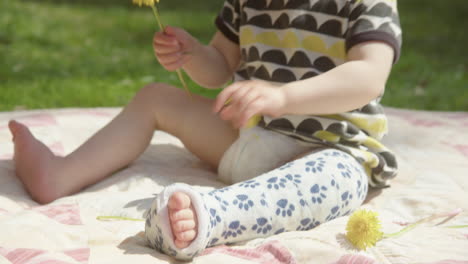 closeup, pan up to a cute toddler playing with flowers with a broken leg