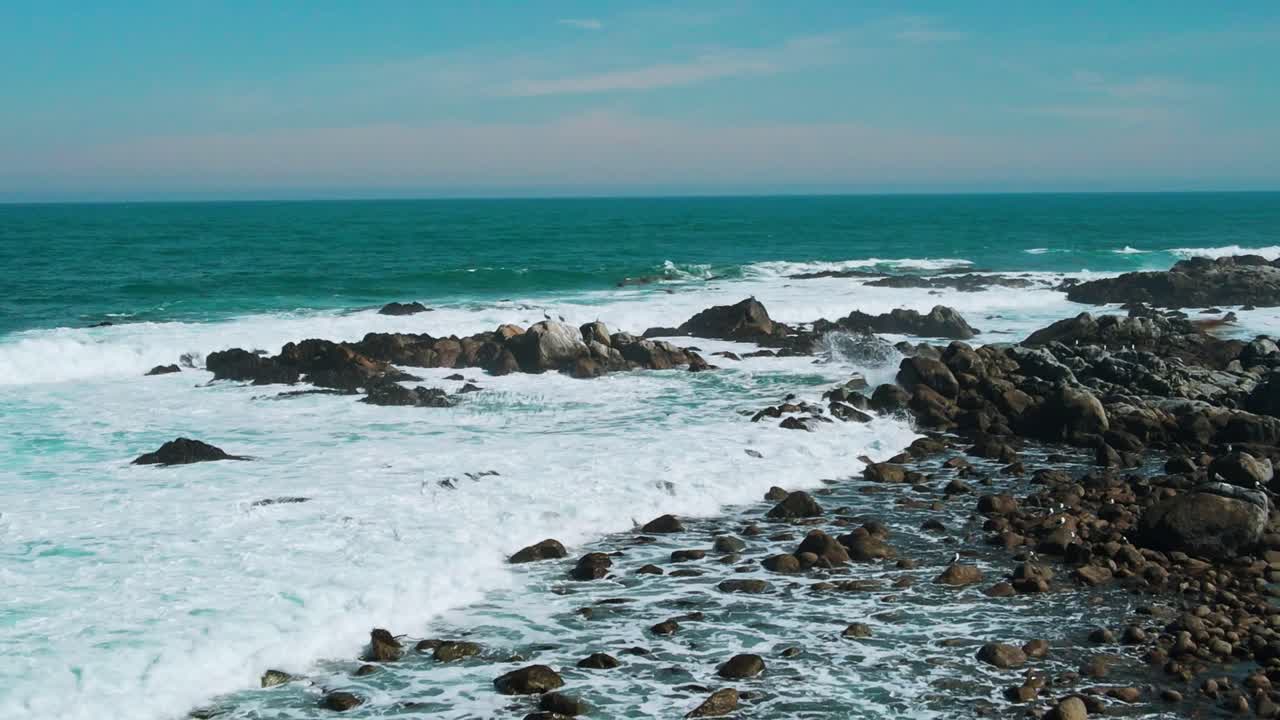 Volo all'indietro sopra una selvaggia e scura scogliera rocciosa con uccelli marini appollaiati tra i massi e onde bianche spumeggianti che si infrangono lungo la costa sotto un cielo azzurro. El Tabo, Cile
