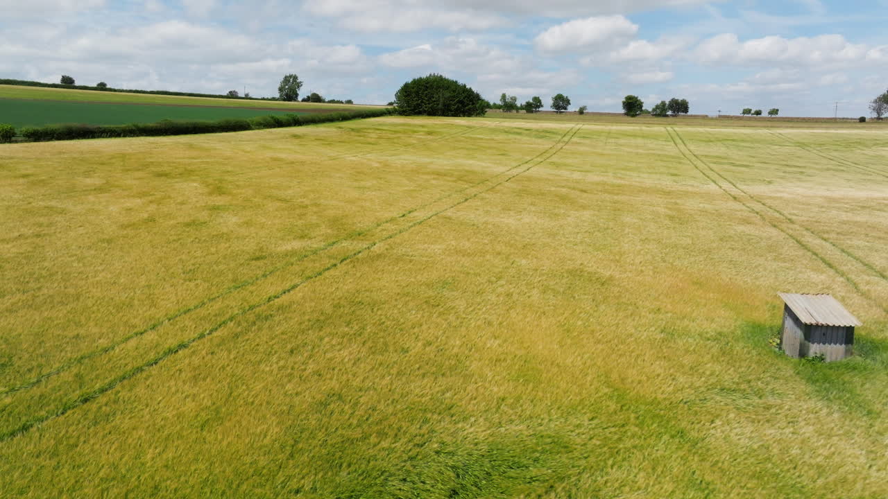 Agricultural Fields With Hut In Summer On A Windy Day In Cotswolds, UK. - aerial shot