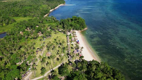 scenic aerial orbit of vibrant tropical island bagasbas beach resort, with lush palm trees and clear coastal waters at san andres, catanduanes, philippines
