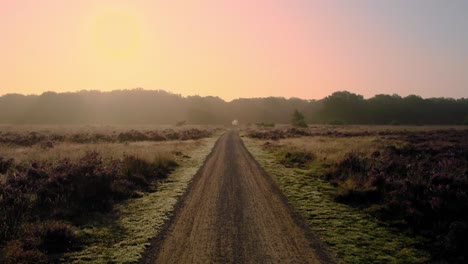 Volando-Sobre-Un-Camino-De-Tierra-Rodeado-De-Campos-De-Salud-En-El-Parque-Nacional-De-Veluwe,-Países-Bajos