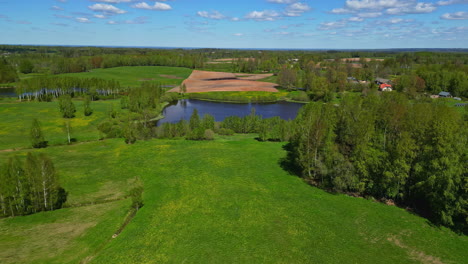 serene lake adorned by coniferous trees and greenery during spring time