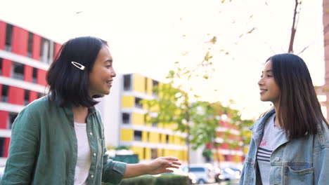 Two-Happy-Japanese-Female-Friends-Smiling-And-Looking-At-Camera-In-The-Street