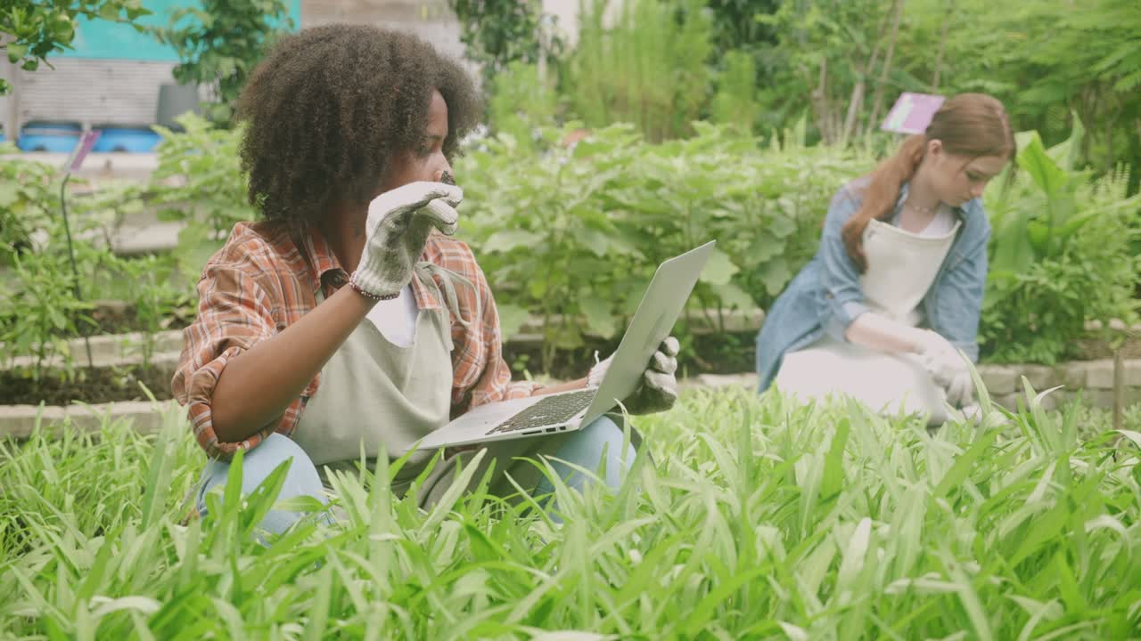 Children boy looking soil and checking quality with laptop computer and girl using shovel dig soil for plants in the garden, activity of child doing agriculture at backyard, plantation and seasonal.