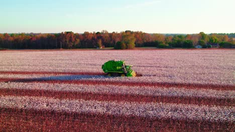 orbiting aerial of green combine machinery on a cotton field at sunset