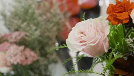 Extreme-close-up-of-a-Pink-Rose-flower