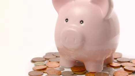 seguimiento a través de hucha y centavos