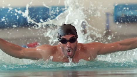 fit man swimming in the pool