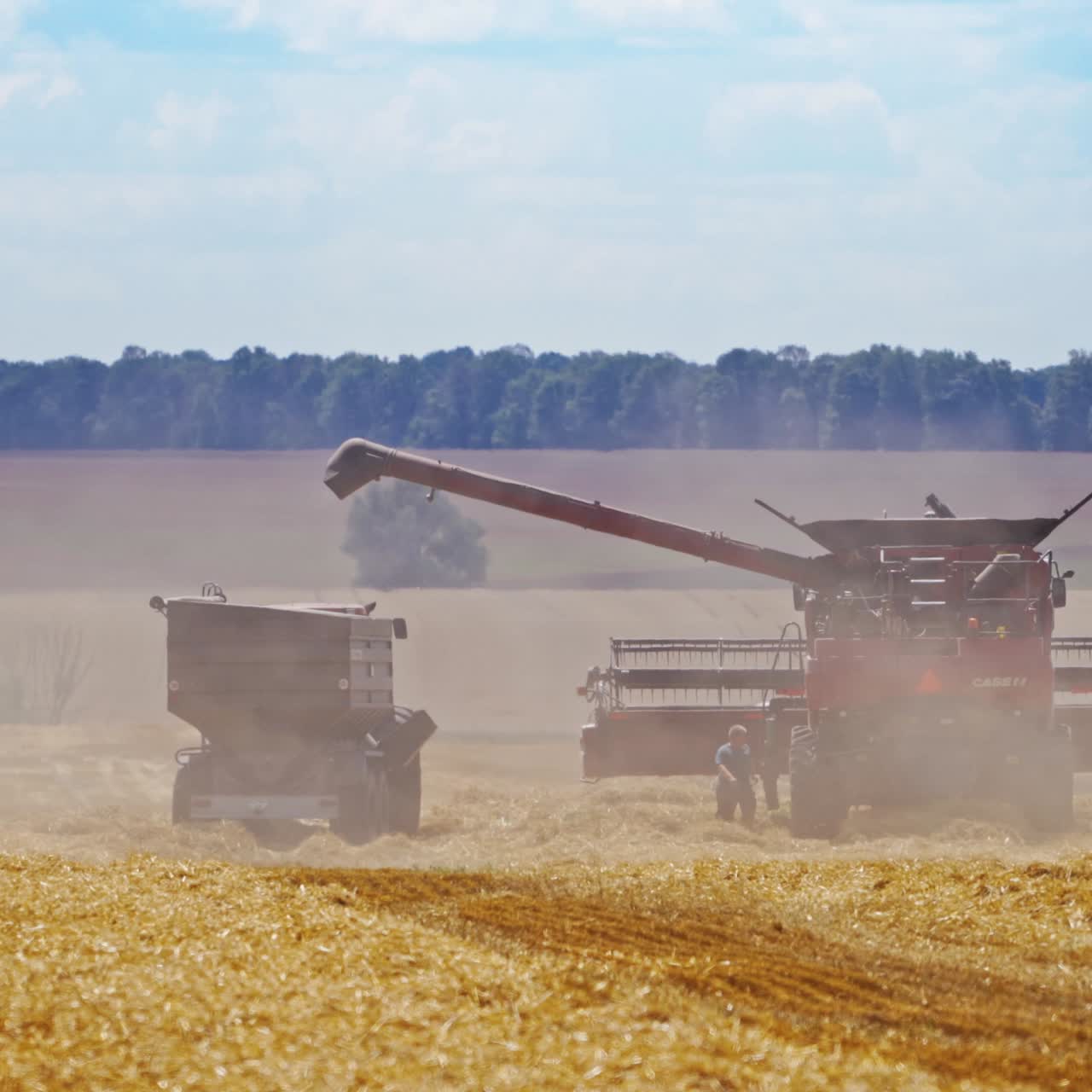 Harvester working with tractor on wheat field