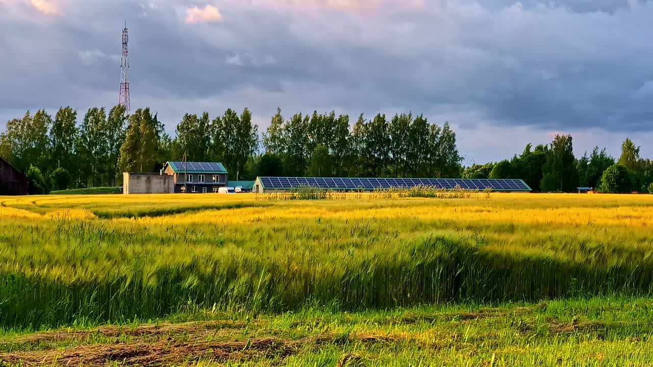 Countryside farm with solar panels and green wheat field under cloudy evening sky