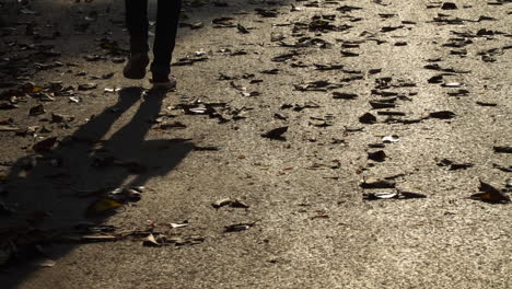 people walk on the road over leaves in the late evening