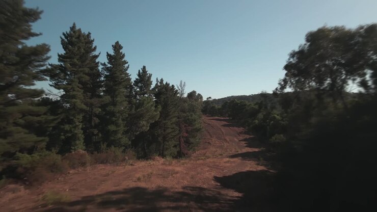 Aerial view of path on the countryside