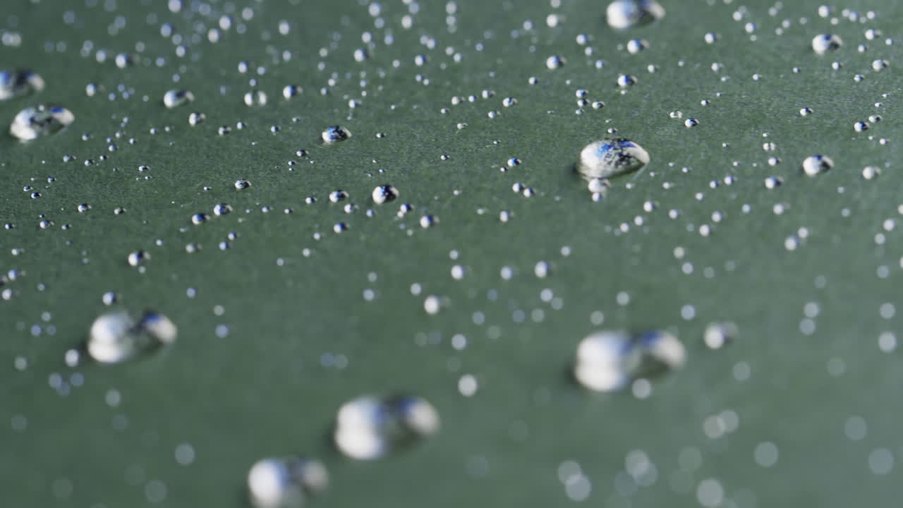 Micro video of close up of water drops with copy space on green background