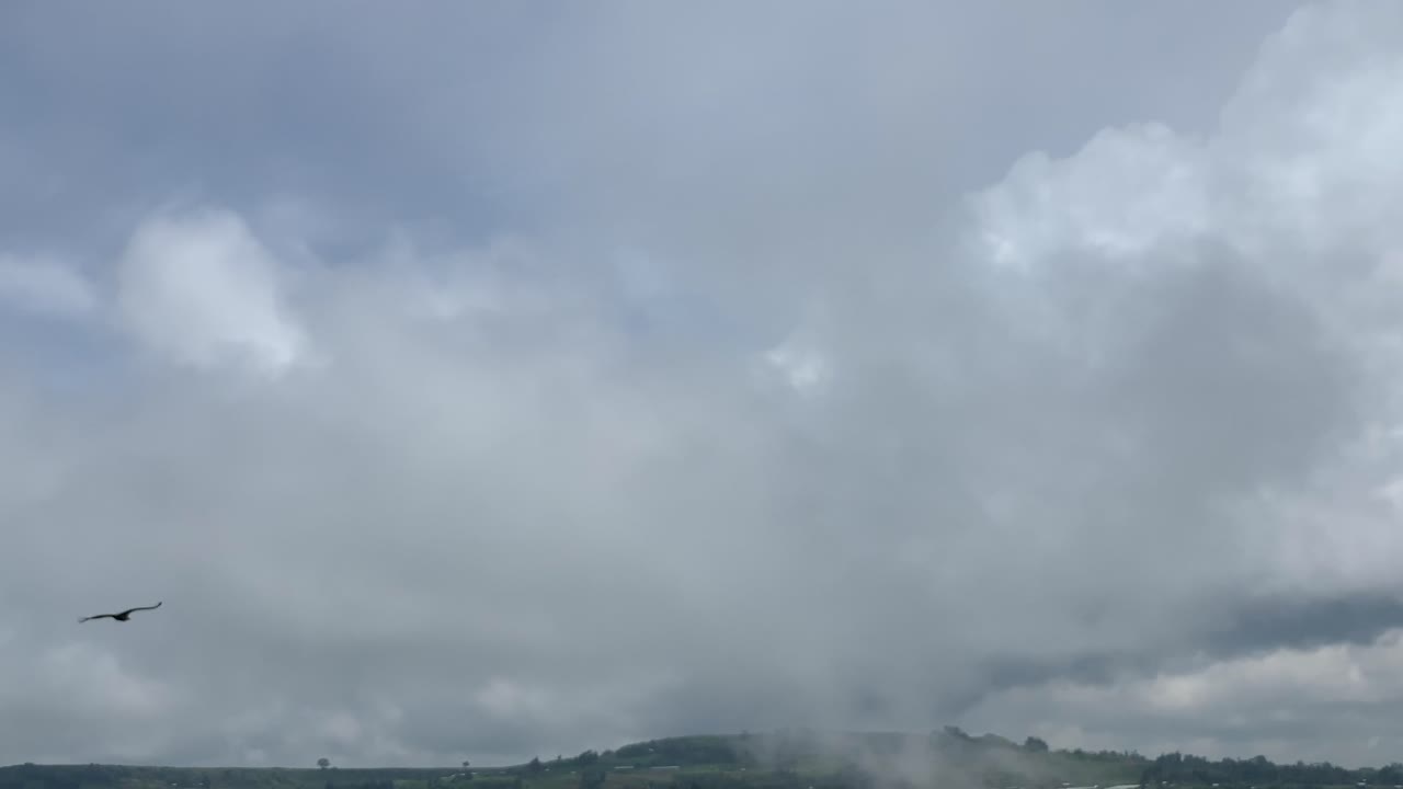 one falcon eagle is flying over the waterfall of Debre Libanos, Debre Birhan, with small pan down shot.