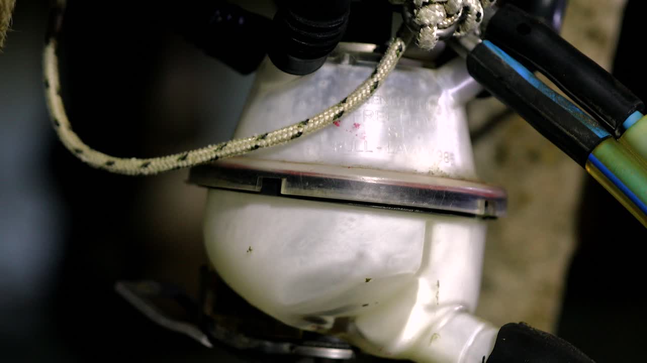 터키 의 소 와 송아지 농장, 송아지 가 먹이 를 받고 있는 동안 지붕 에 있는 목자 와 양 ⁇