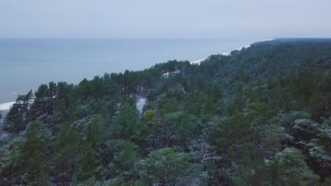 hermosa vista aérea de la costa del mar báltico en un día de invierno nublado, playa con arena blanca cubierta de nieve, erosión costera, cambios climáticos, disparos de drones de gran angular que avanzan