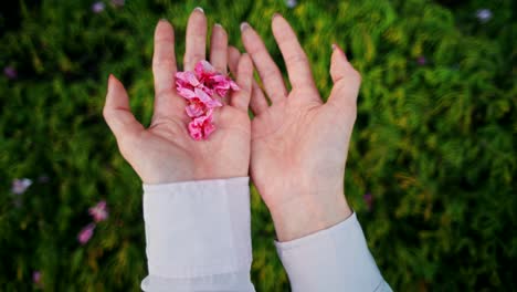 Hands holding delicate pink flowers in a garden