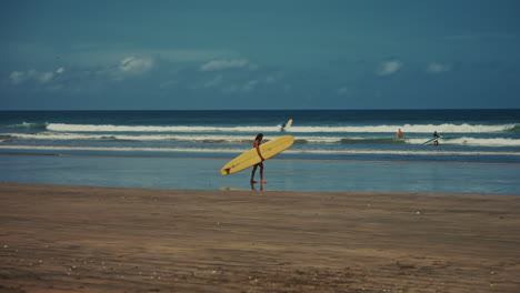 panoramic view of long stretching beach in nosara, costa rica. lone professional surfer walking along the beach holding his board.tropical destination for surfers and water sports enthusiasts.
