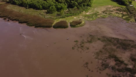 aerial top down of couple enjoying and walking along river shore of river plate in buenos aires - healthy sportive walk outdoors in mud during ebb tide