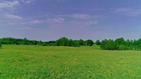 picturesque green grassy meadow field with yellow flowers along rolling hills, aerial dolly