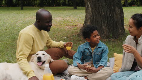 african parents and kid chatting on picnic in park