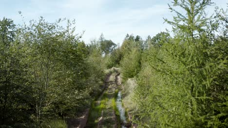 Aerial-drone-shot-over-beautiful-german-landscape,-woods,-Europe