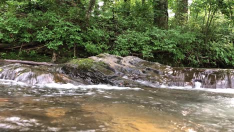 Río-Que-Fluye-A-Través-De-Un-Bosque-Denso