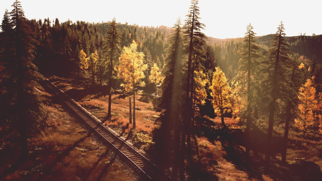 숲 속 의 가을 열차 트랙