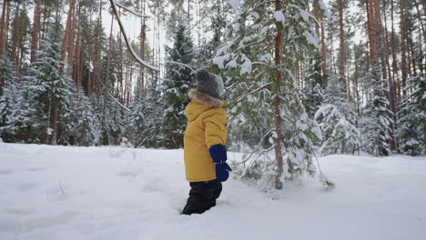 Kleines-Kind-Spielt-Mit-Fichte-Im-Winterwald-Und-Hat-Spaß-Am-Winterwochenende