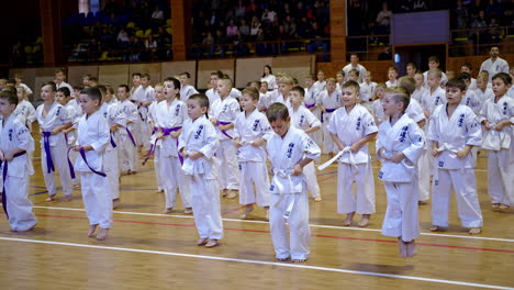 lots of boys wearing white kimonos with blue letters and diverse belts jump. competitors preparing and warming up for competition. spectators at backdrop.