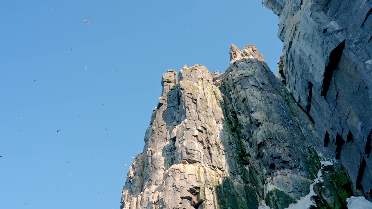 Rugged Coastal Cliffs Hosting a Seabird Colony in Svalbard, Norway