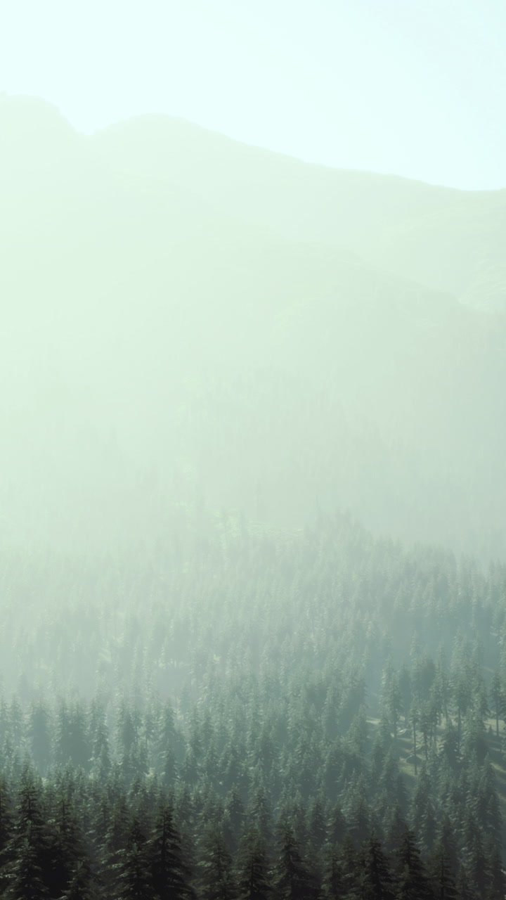 Mountains covered in mist with trees on a summer morning