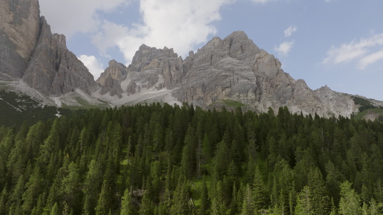 Foresta alpina e vette