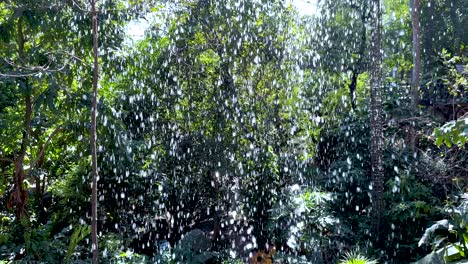 cascadas de agua en un jardín verde vibrante