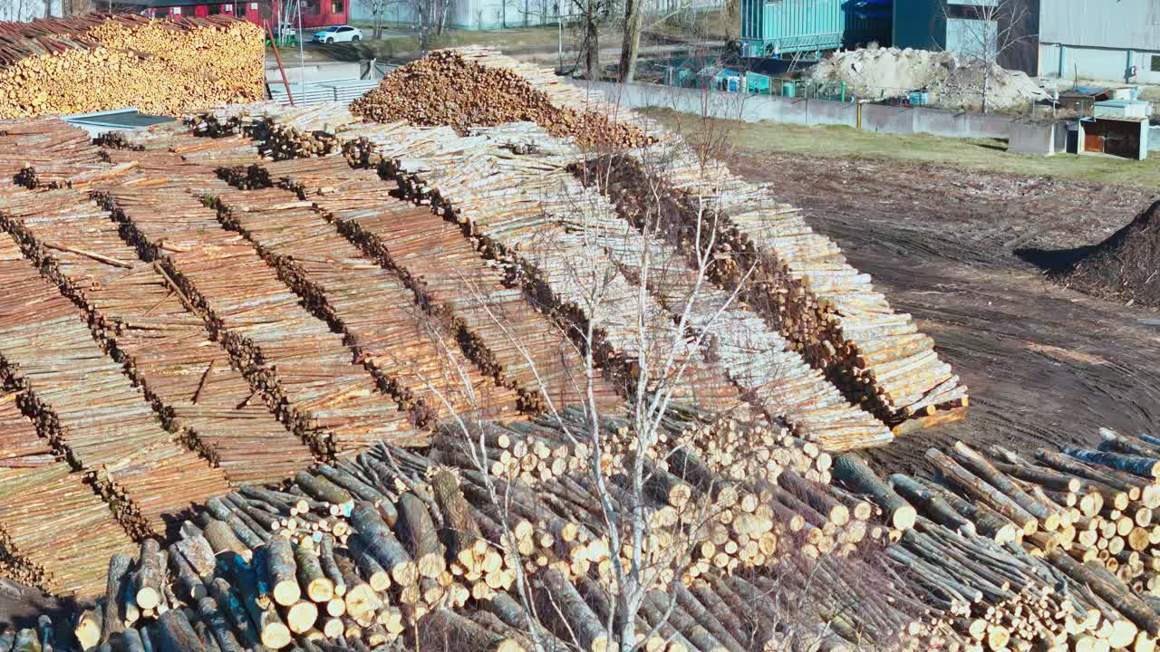 Countless timber logs neatly piled in long rows at a large lumber yard, showing varied wood textures and colors under bright daylight near an industrial area.