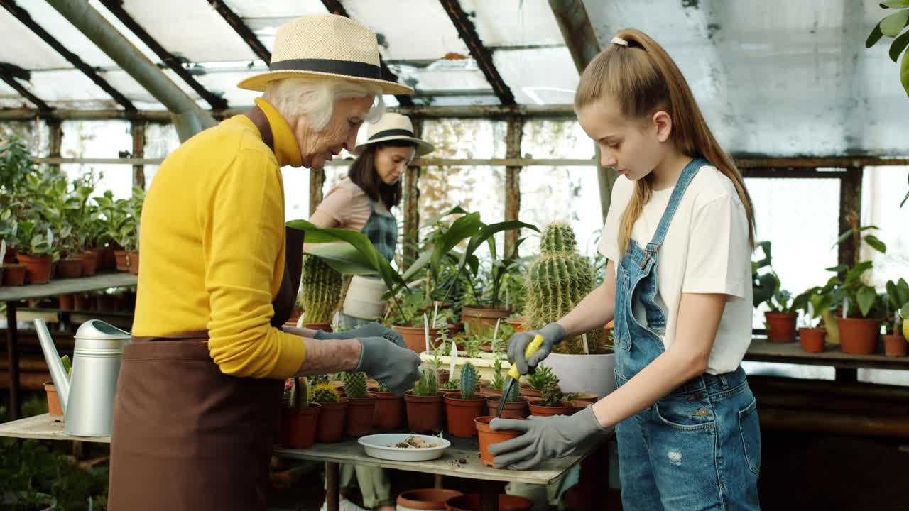 Grandmother and Granddaughter Gardening in a Greenhouse