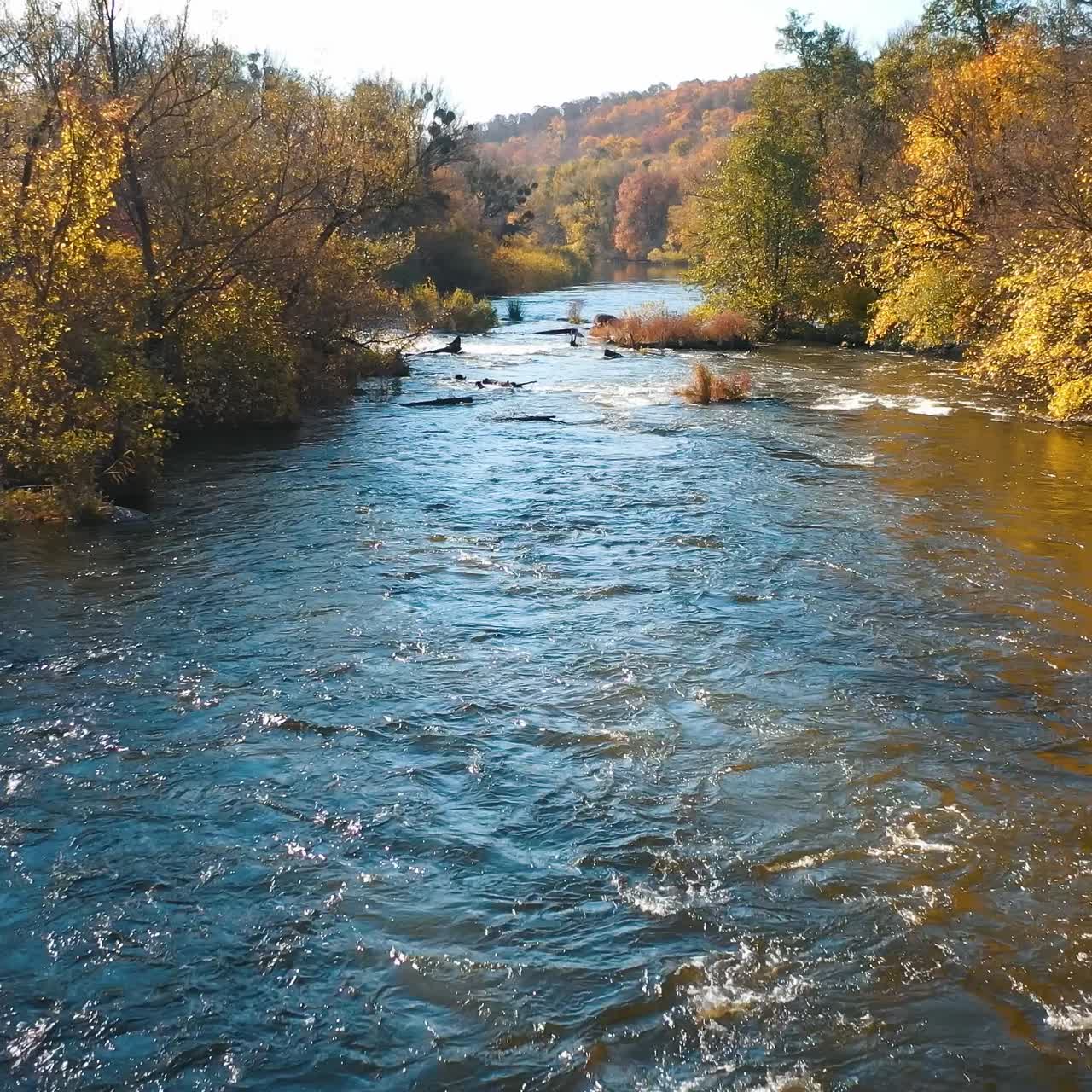 Beautiful river in autumn time at sunlight. Flight over blue water flowing among stones quickly in mountainous area. Amazing nature in fall