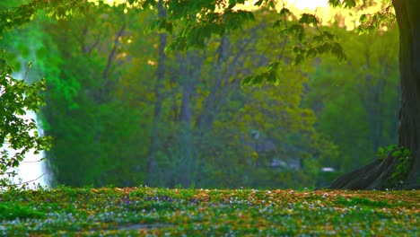 lil-insert-flying-Sunlight-splash-Nature-trees,-flowers,-branches,-beautiful-greenish-plants-in-Pildammsparken-Malmö-Sweden