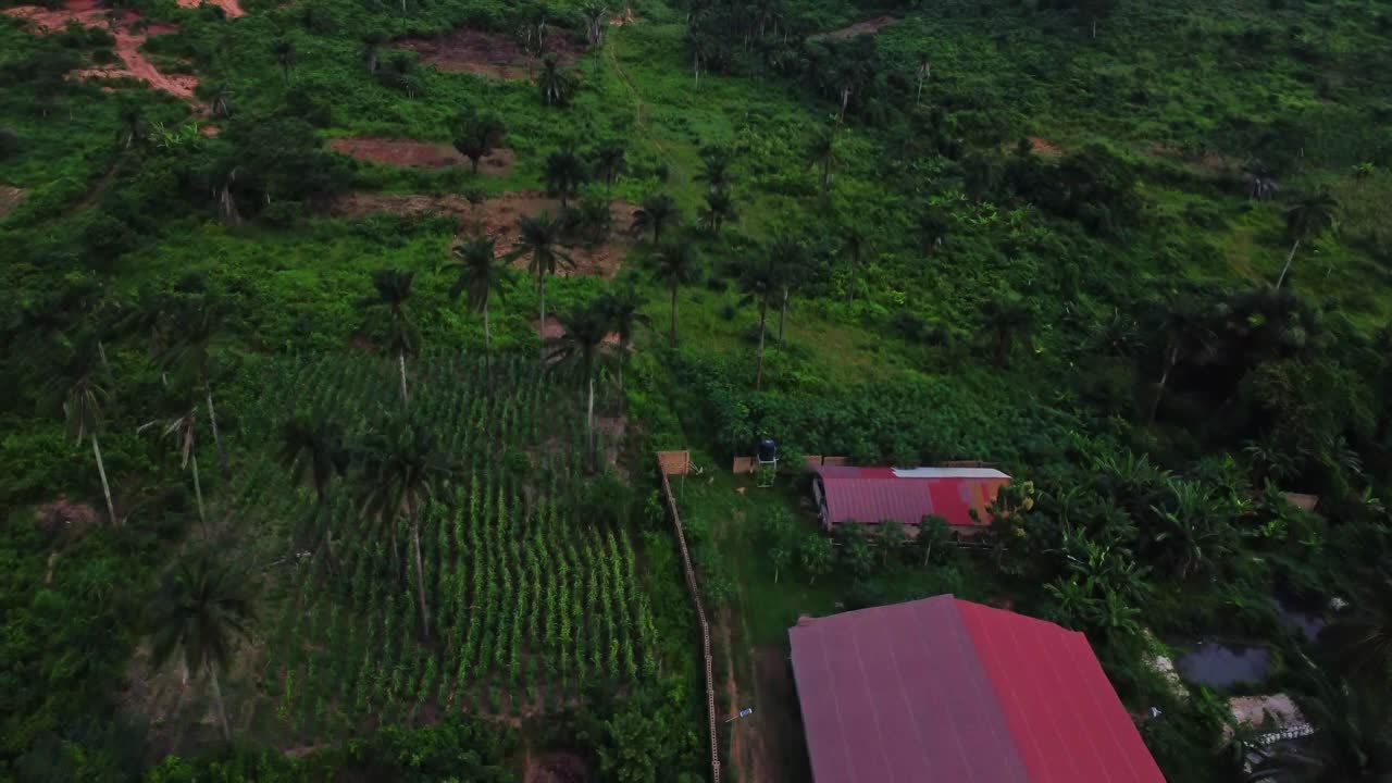 Aerial of a large farm surrounded by beautiful green nature in the countryside of Nigeria, Africa