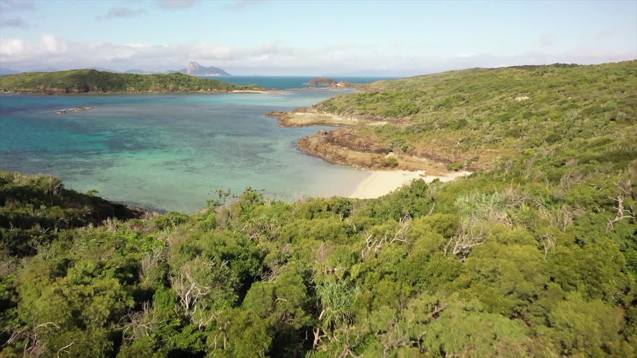 полет беспилотника над ярким зеленым лесом и прозрачной водой лагуны за его пределами