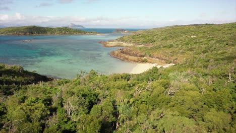 vuelo con drones sobre un bosque verde intenso para limpiar el agua de la laguna más allá