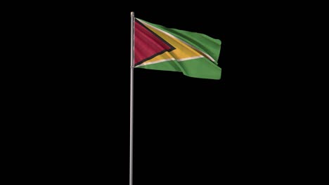 guyana flag with alpha channel, 4k video is transparent