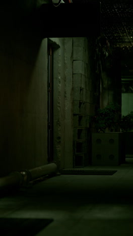 a dark and eerie hallway with a brick wall, a doorway, and a green plant in a concrete planter.