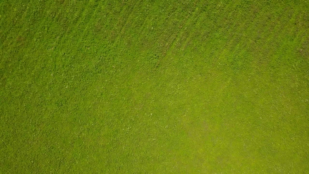 drone dando vueltas alrededor de una exuberante pradera en un día soleado