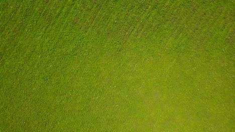 drone circling around a lush grassland on a sunny day