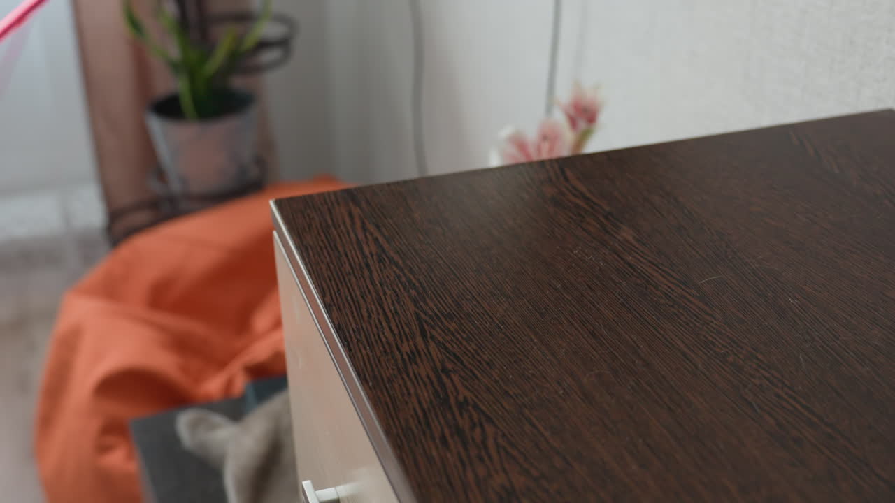 Adorable Cat Toy Collection, Pink Kitten Play Items Arranged Neatly, Display Of Organized Pink Feline Toys And Accessories, Set Of Pink And Treatthemed Toys For Playful Cats Arranged Tidily