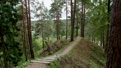 Drone-footage-flying-in-the-woods-to-the-river-Neris