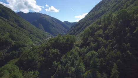 aerial view over verzasca valley in switzerland, blue water and green trees on each site