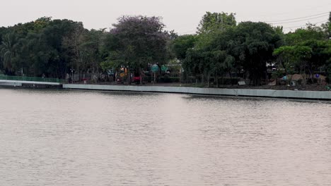 calm lake with lush greenery and trees